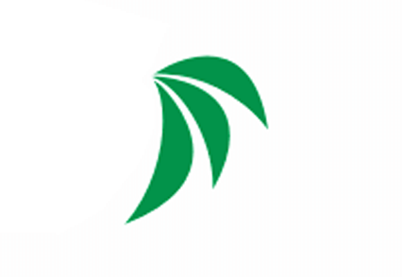 Creation of a logo of community of aqua plants