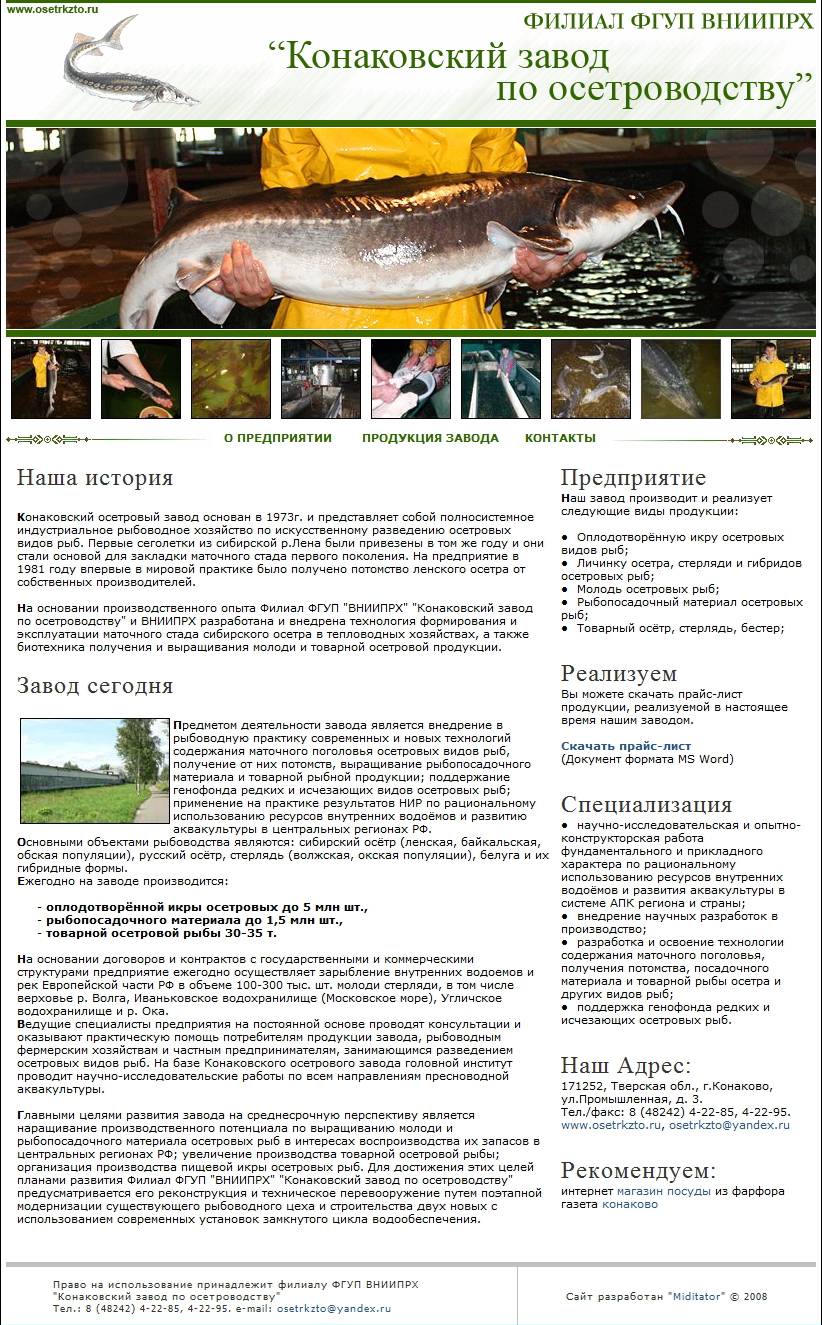 Website Development sturgeon breeding plant